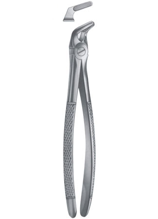 Extracting Forceps - English Pattern 