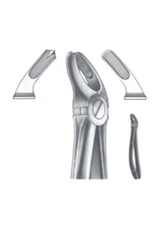 Extracting Forceps - English Pattern