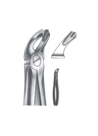 Extracting Forceps - English Pattern 