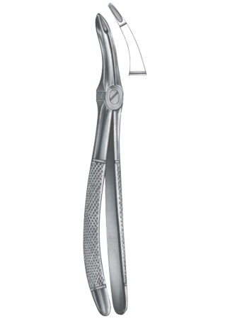 Extracting Forceps - English Pattern 