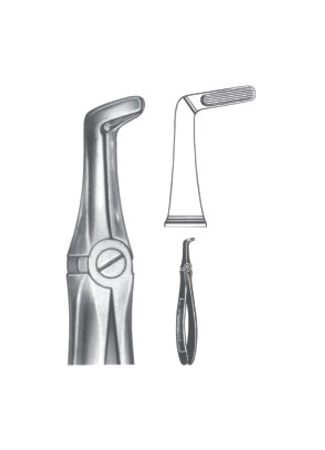 Extracting Forceps - English Pattern