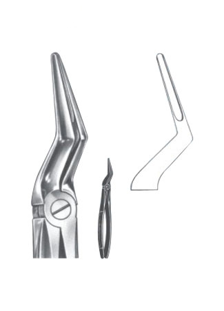 Extracting Forceps - English Pattern