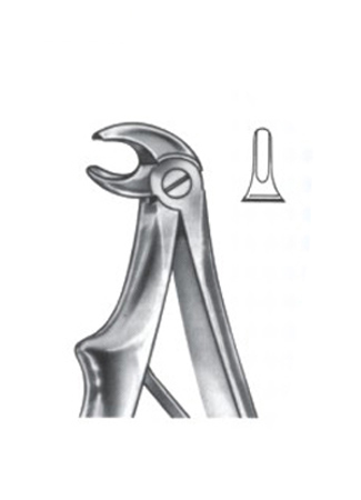 Extracting Forceps For Children - English Pattern