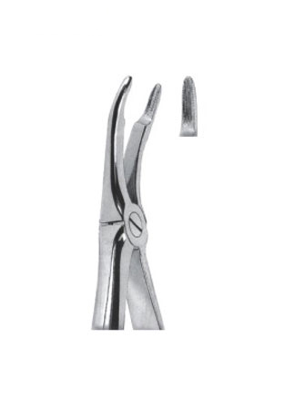 Extracting Forceps - English Pattern