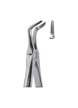 Extracting Forceps - English Pattern 