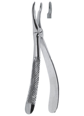 Extracting Forceps - English Pattern 