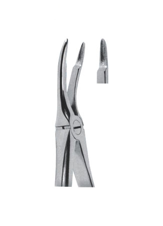 Extracting Forceps - English Pattern 