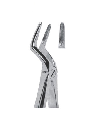 Extracting Forceps - English Pattern