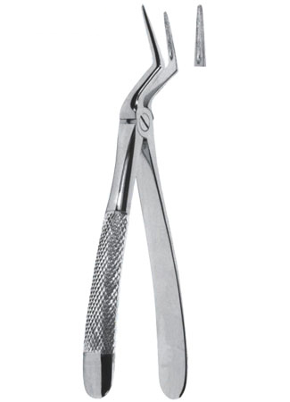 Extracting Forceps - English Pattern