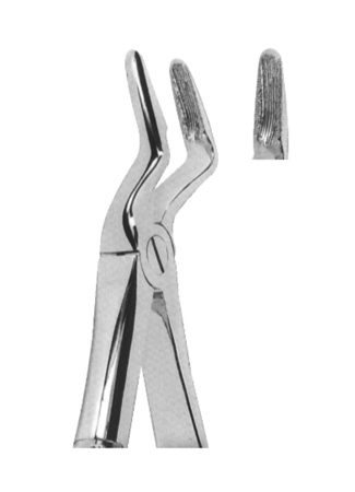 Extracting Forceps - English Pattern 