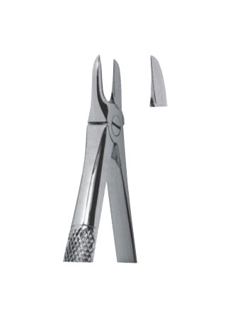 Extracting Forceps - English Pattern 