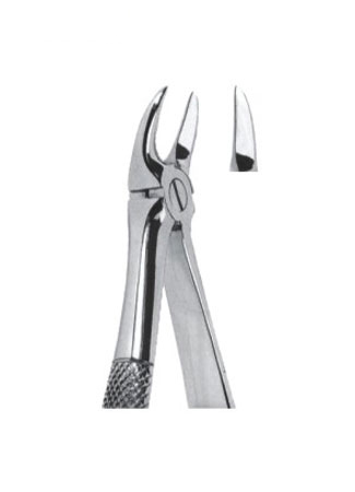 Extracting Forceps - English Pattern 