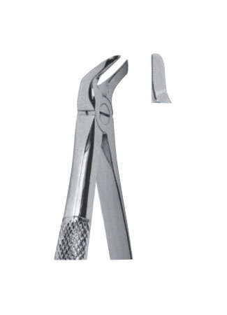 Extracting Forceps - English Pattern 