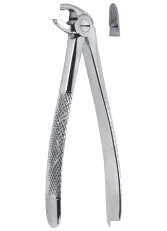 Extracting Forceps - English Pattern