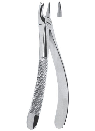 Extracting Forceps - English Pattern