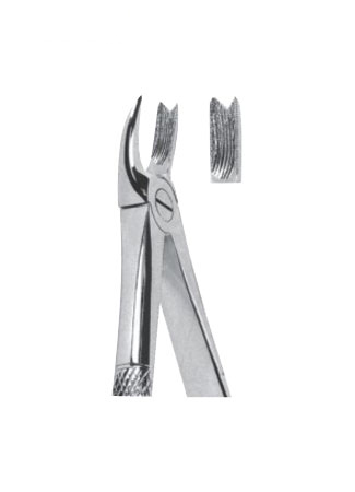 Extracting Forceps - English Pattern 