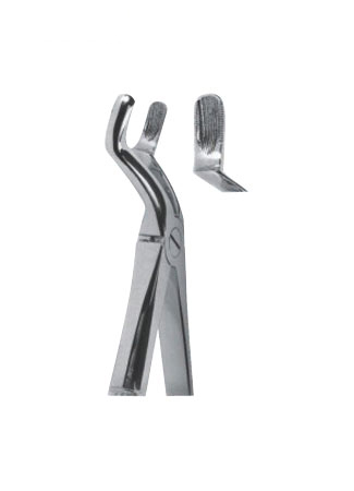 Extracting Forceps - English Pattern