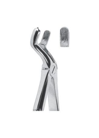 Extracting Forceps - English Pattern