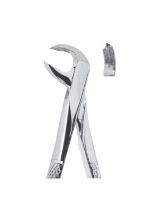 Extracting Forceps - English Pattern 