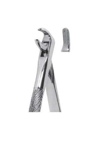 Extracting Forceps - English Pattern 