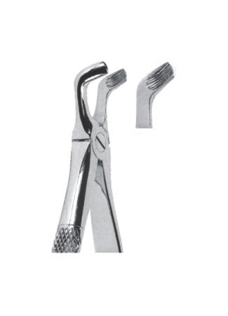 Extracting Forceps - English Pattern