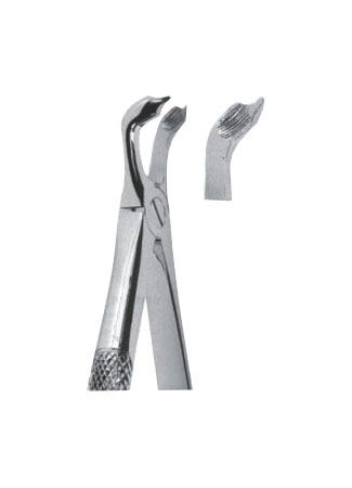 Extracting Forceps - English Pattern 