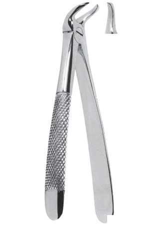 Extracting Forceps - English Pattern 