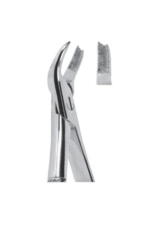 Extracting Forceps - English Pattern