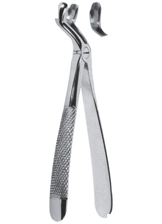 Extracting Forceps - English Pattern