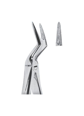 Extracting Forceps - English Pattern 