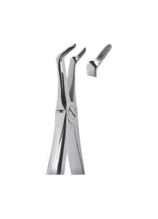 Extracting Forceps - English Pattern 