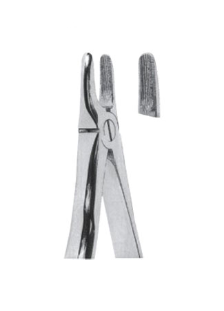 Extracting Forceps With Anatomically Shapad Handl 