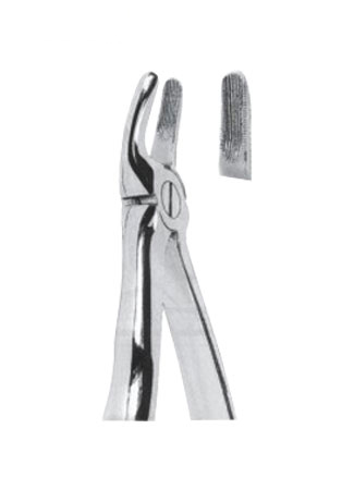 Extracting Forceps With Anatomically Shapad Handl 