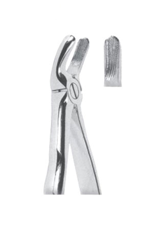 Extracting Forceps With Anatomically Shapad Handl 