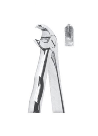 Extracting Forceps With Anatomically Shapad Handl 