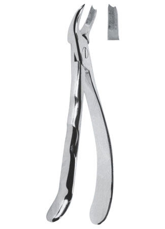 Extracting Forceps With Anatomically Shapad Handl 