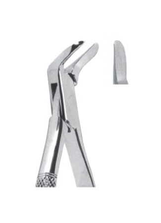 Extracting Forceps - American Pattern 