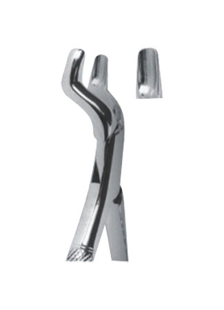 Extracting Forceps - American Pattern 