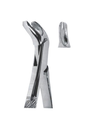 Extracting Forceps - American Pattern 