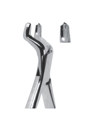 Extracting Forceps - American Pattern 