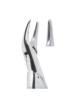 Extracting Forceps - American Pattern