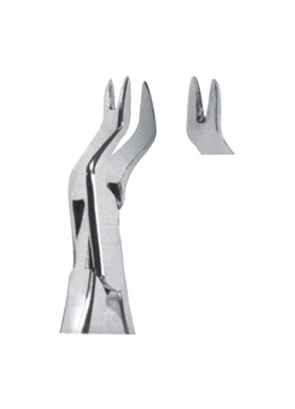 Extracting Forceps - American Pattern 