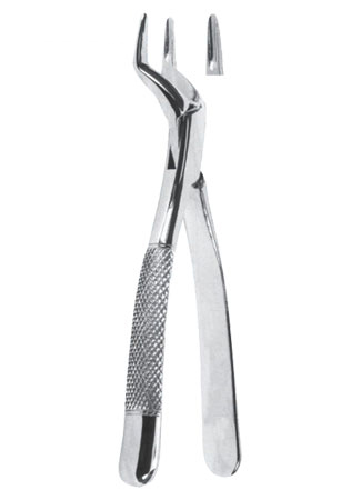 Extracting Forceps - American Pattern 