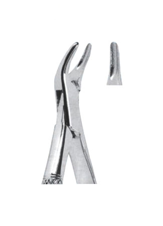 Extracting Forceps - American Pattern