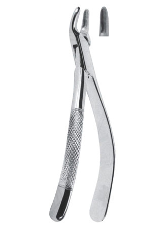 Extracting Forceps - American Pattern 