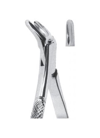 Extracting Forceps - American Pattern 