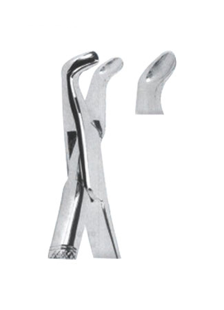 Extracting Forceps - American Pattern 