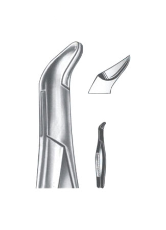 Extracting Forceps - American Pattern